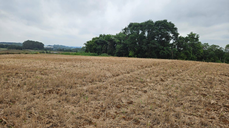 Imagem Fazenda à Venda, em Zona Rural - Araucaria Imagem Fazenda à Venda, em Zona Rural - Araucaria