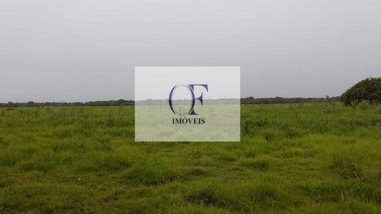 Imagem Fazenda à Venda, 24.000 m² em Pantanal - Corumbá Imagem Fazenda à Venda, 24.000 m² em Pantanal - Corumbá