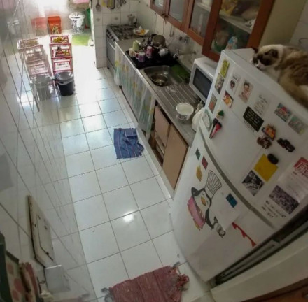 Imagem Apartamento com 3 Quartos à Venda, 80 m² em Imbuí - Salvador Imagem Apartamento com 3 Quartos à Venda, 80 m² em Imbuí - Salvador