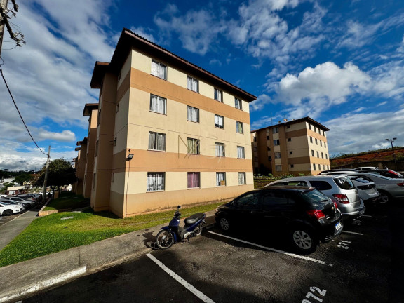 Imagem Apartamento com 1 Quarto à Venda, 41 m² em Colônia Rio Grande - São José Dos Pinhais