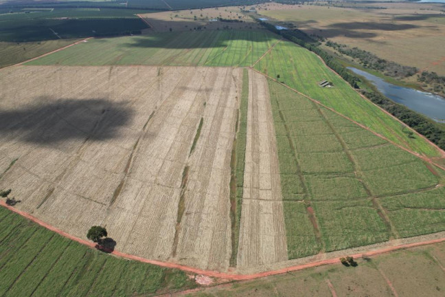 Imagem Fazenda à Venda, 125 m² em Zona Rural - Sud Mennucci Imagem Fazenda à Venda, 125 m² em Zona Rural - Sud Mennucci