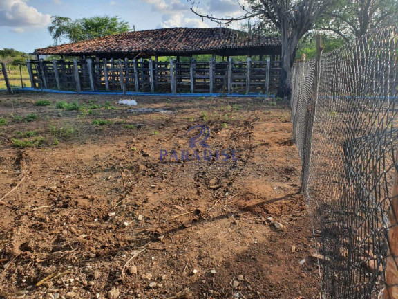 Imagem Fazenda à Venda, 2.551.000 m² em Centro - Santa Terezinha Imagem Fazenda à Venda, 2.551.000 m² em Centro - Santa Terezinha