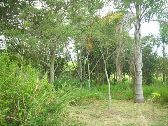Imagem Chácara com 1 Quarto à Venda, 1.000 m² em Estância Irene - Porangaba
