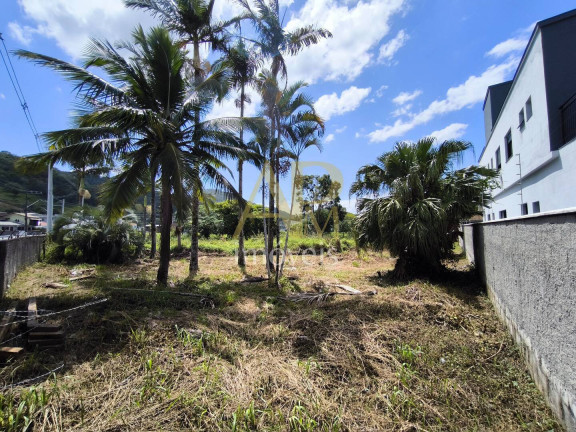 Imagem Terreno à Venda, 460 m² em Fundos - Biguaçu Imagem Terreno à Venda, 460 m² em Fundos - Biguaçu