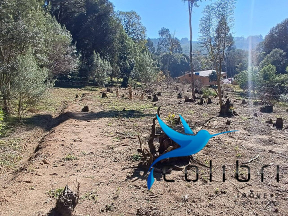 Imagem Chácara com 2 Quartos à Venda, 6.000 m² em Palmital - Agudos Do Sul