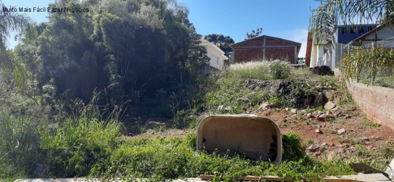 Imagem Terreno à Venda, 380 m² em Germânia - Nova Petrópolis Imagem Terreno à Venda, 380 m² em Germânia - Nova Petrópolis