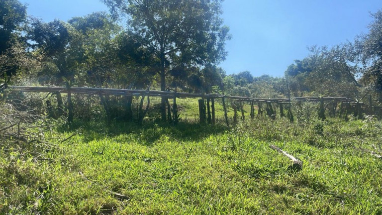 Imagem Imóvel com 3 Quartos à Venda, 200 m² em Rio Verde - Bauru