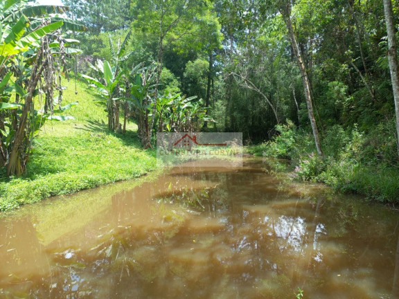 Imagem Imóvel com 3 Quartos à Venda, 4.700 m² em Palmeiras - Juquitiba Imagem Imóvel com 3 Quartos à Venda, 4.700 m² em Palmeiras - Juquitiba