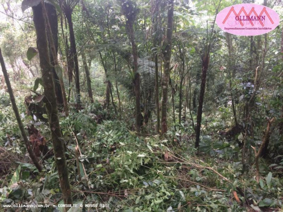 Imagem Terreno à Venda, 1.695 m² em Chácara Carreiras - Santo André Imagem Terreno à Venda, 1.695 m² em Chácara Carreiras - Santo André