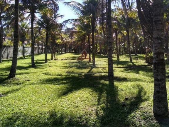 Imagem Imóvel à Venda, 8.000 m² em Guaratiba - Rio De Janeiro Imagem Imóvel à Venda, 8.000 m² em Guaratiba - Rio De Janeiro