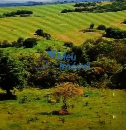 Imóvel com 5 Quartos à Venda, 5 m² em área Rural De Luziânia - Luziânia