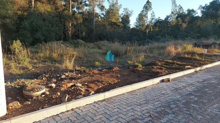 Imagem Terreno à Venda, 360 m² em Santo Antão - Bento Gonçalves