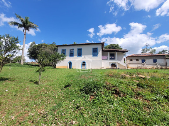 Imagem Imóvel com 4 Quartos à Venda, 8.200 m² em Comunidade Ribeirão Pequeno - Divisa Nova