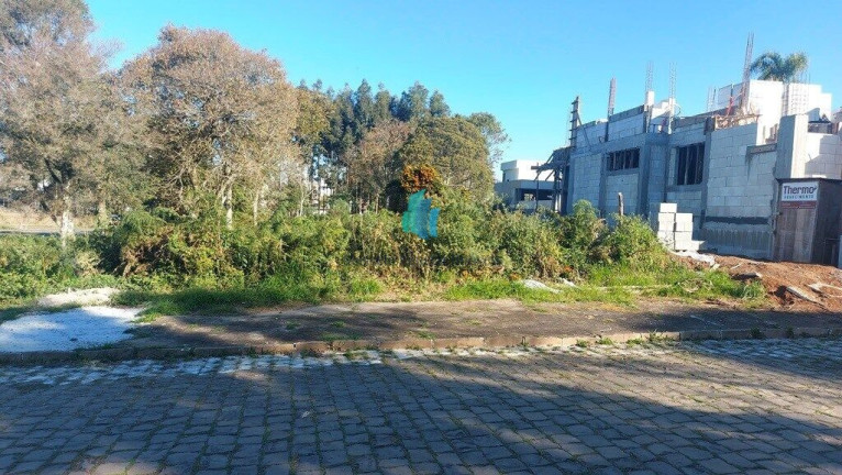 Terreno à Venda, 441 m² em Universitário - Bento Gonçalves