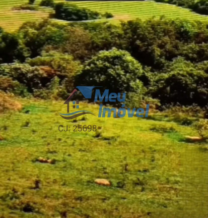 Imagem Imóvel com 5 Quartos à Venda, 5 m² em área Rural De Luziânia - Luziânia Imagem Imóvel com 5 Quartos à Venda, 5 m² em área Rural De Luziânia - Luziânia