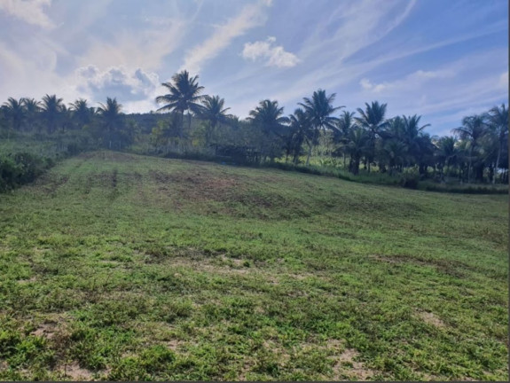Fazenda à Venda, 121 m² em Itariri - Conde