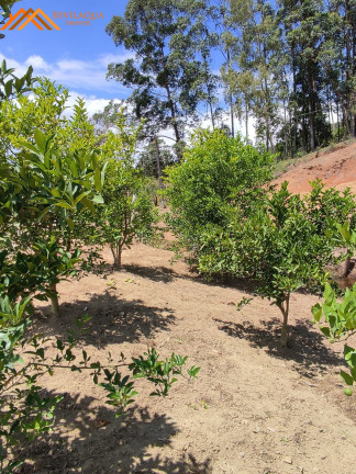 Imagem Imóvel com 3 Quartos à Venda, em Aratingauba - Forquilhinha Imagem Imóvel com 3 Quartos à Venda, em Aratingauba - Forquilhinha
