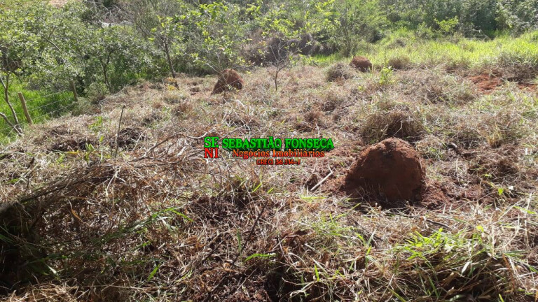 Imagem Chácara à Venda, 750 m² em Sob. Consulta - Paraibuna Imagem Chácara à Venda, 750 m² em Sob. Consulta - Paraibuna