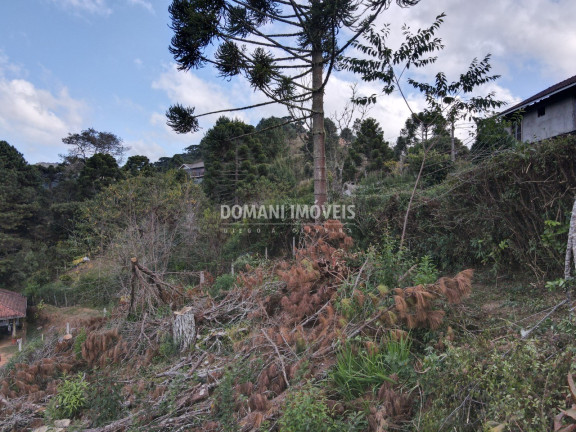 Imagem Terreno à Venda, 1.110 m² em Região De Descansópolis - Campos Do Jordão