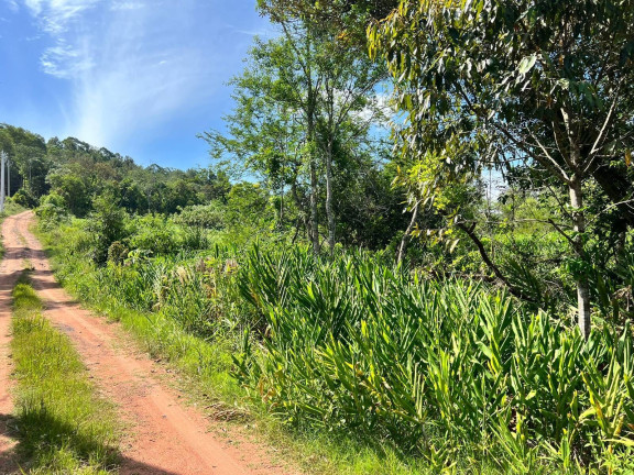 Imagem Chácara à Venda, 2 m² em Morungava - Gravataí Imagem Chácara à Venda, 2 m² em Morungava - Gravataí