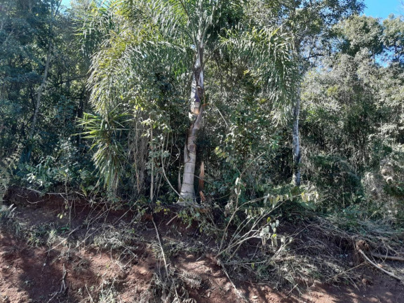 Imagem Chácara à Venda, em Interior - Iomerê Imagem Chácara à Venda, em Interior - Iomerê