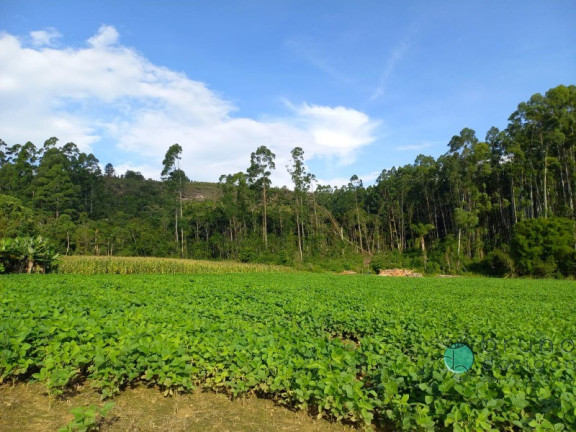 Imóvel à Venda, 170.000 m² em Zona Rural - Alfredo Wagner