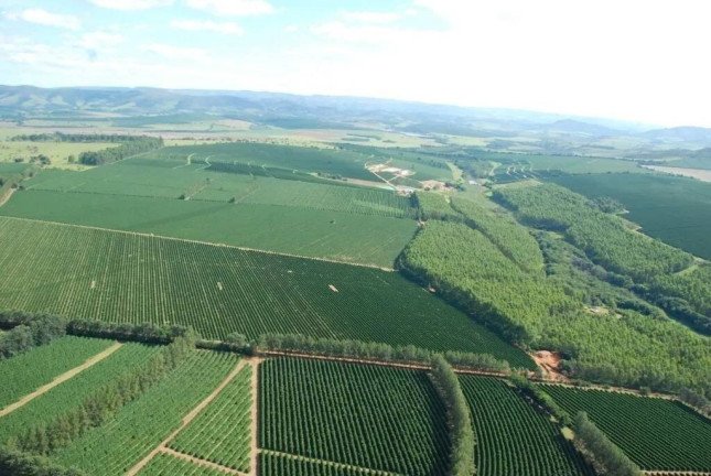 Imagem Chácara à Venda, 530 m² em Centro - Piumhi Imagem Chácara à Venda, 530 m² em Centro - Piumhi