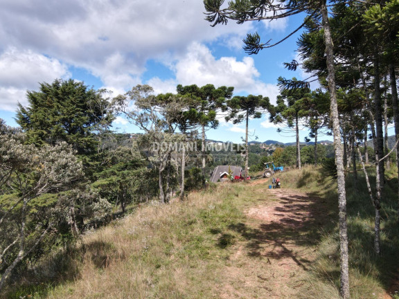Imagem Terreno à Venda, 2.420 m² em Região De Descansópolis - Campos Do Jordão Imagem Terreno à Venda, 2.420 m² em Região De Descansópolis - Campos Do Jordão