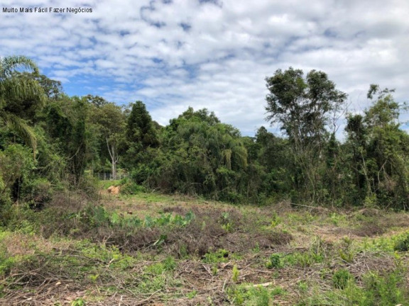 Imagem Terreno à Venda, 5 m² em Nove Colônias - Nova Petrópolis