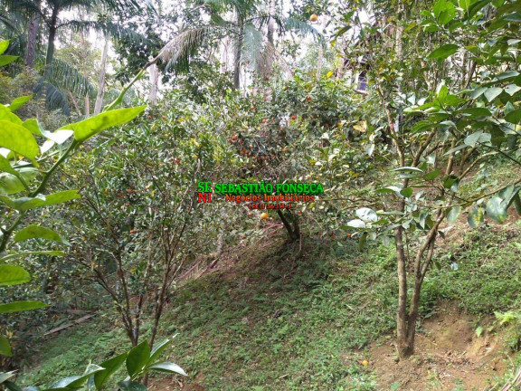 Imagem Chácara com 2 Quartos à Venda, 1 m² em Centro - Monteiro Lobato Imagem Chácara com 2 Quartos à Venda, 1 m² em Centro - Monteiro Lobato