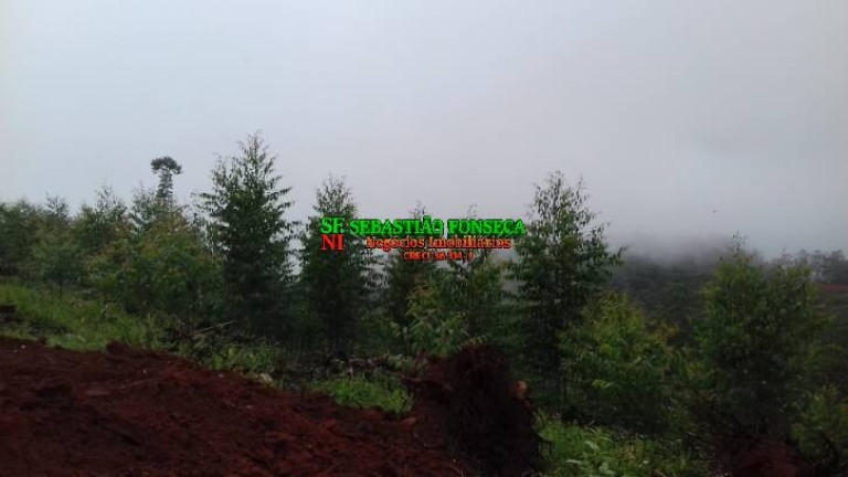 Imagem Chácara à Venda, 30.000 m² em Centro - Monteiro Lobato Imagem Chácara à Venda, 30.000 m² em Centro - Monteiro Lobato