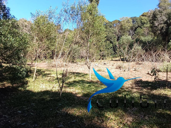 Imagem Chácara com 2 Quartos à Venda, 6.000 m² em Palmital - Agudos Do Sul