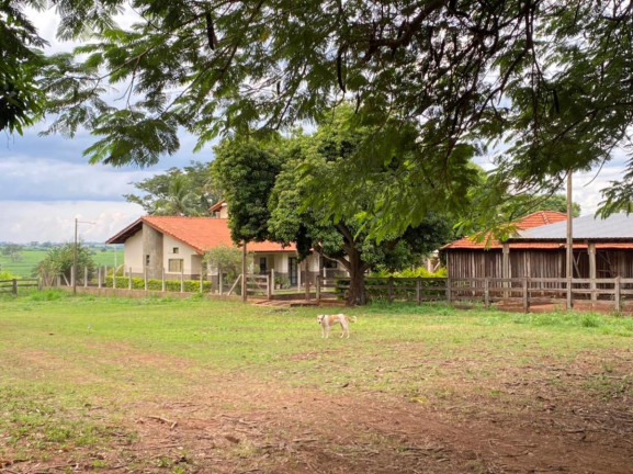 Imagem Fazenda à Venda, 532 m² em Rural - Jales Imagem Fazenda à Venda, 532 m² em Rural - Jales