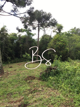 Imagem Imóvel à Venda, em Rancho Da Jane - Canela Imagem Imóvel à Venda, em Rancho Da Jane - Canela