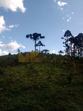 Imagem Fazenda à Venda, 59.000 m² em Alto Cedros - Rio Dos Cedros