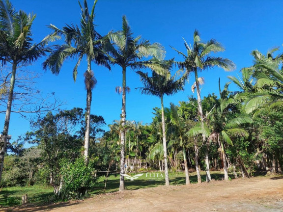 Imagem Chácara com 2 Quartos à Venda, 19.000 m² em Vila Nova - Barra Velha