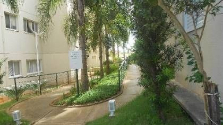 Apartamento com 2 Quartos à Venda, 45 m² em Universitário - São José Do Rio Preto