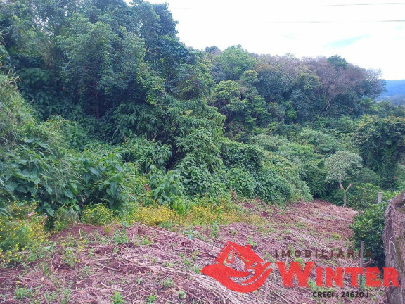 Imagem Terreno à Venda, 1.046 m² em Centro - Feliz Imagem Terreno à Venda, 1.046 m² em Centro - Feliz