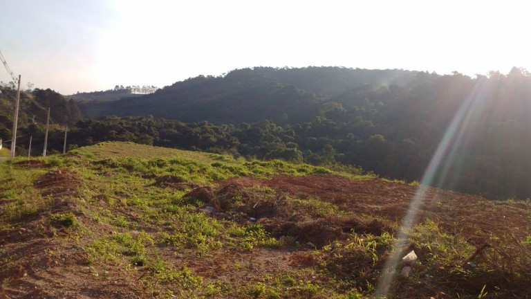 Imagem Terreno à Venda, 9.075 m² em Jardim Belval - Barueri