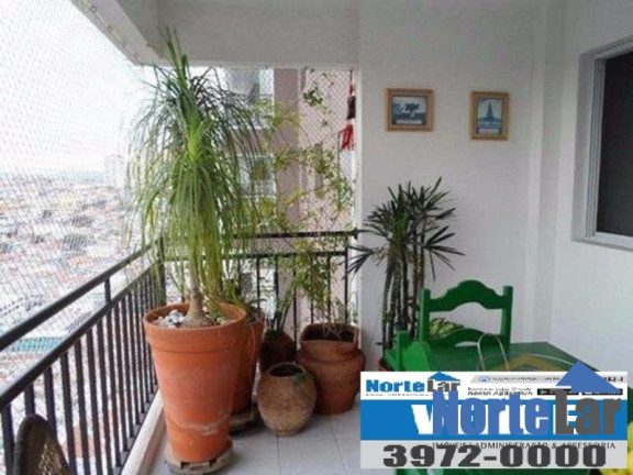 Imagem Apartamento com 3 Quartos à Venda, 80 m² em Vila Maria - São Paulo