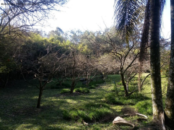 Imagem Casa com 3 Quartos à Venda, 296 m² em Vale Verde - Nova Petrópolis Imagem Casa com 3 Quartos à Venda, 296 m² em Vale Verde - Nova Petrópolis