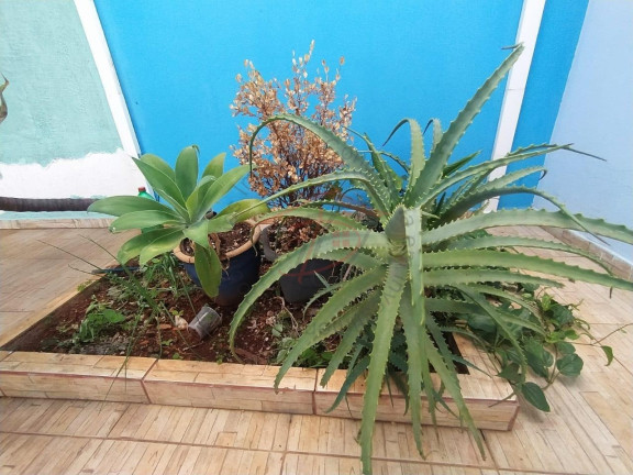 Imagem Sobrado com 3 Quartos à Venda, 185 m² em Conjunto Habitacional Vila Réggio - Campinas Imagem Sobrado com 3 Quartos à Venda, 185 m² em Conjunto Habitacional Vila Réggio - Campinas