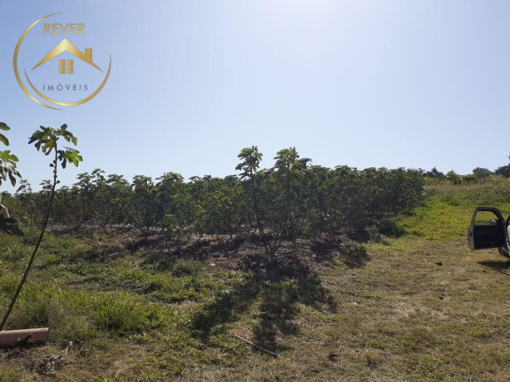 Imagem Imóvel com 9 Quartos à Venda, 69.700 m² em Reforma Agrária - Valinhos