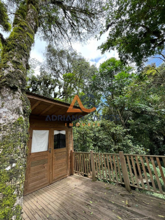 Imagem Casa com 4 Quartos à Venda, 362 m² em Mato Queimado - Gramado