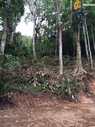 Imagem Imóvel à Venda, 51.908 m² em Macacos - Camboriú Imagem Imóvel à Venda, 51.908 m² em Macacos - Camboriú