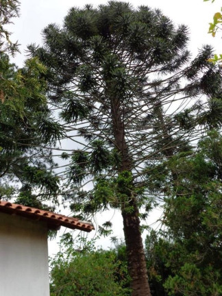 Imagem Casa à Venda, 605 m² em água Espraiada (caucaia Do Alto) - Cotia Imagem Casa à Venda, 605 m² em água Espraiada (caucaia Do Alto) - Cotia