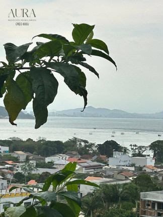 Imagem Casa com 1 Quarto para Alugar,  em Penha