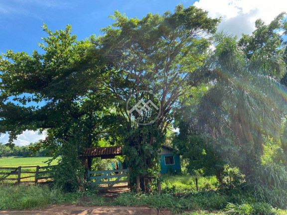 Imagem Fazenda à Venda, em Linha Do Cerne - Sertanópolis Imagem Fazenda à Venda, em Linha Do Cerne - Sertanópolis