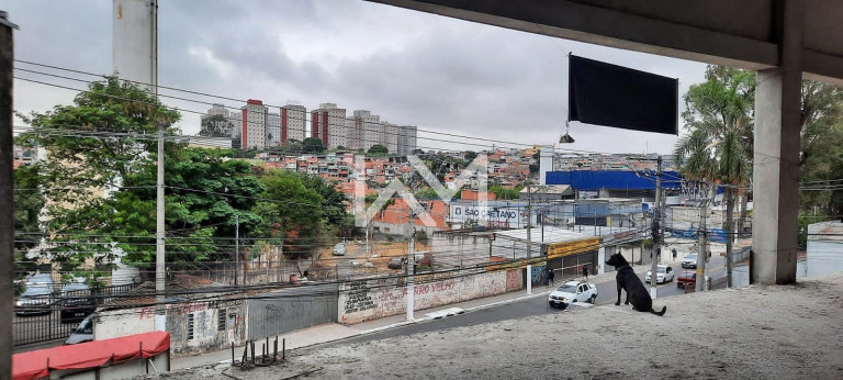 Imagem Loja para Alugar, 505 m² em Vila Conceição - São Paulo