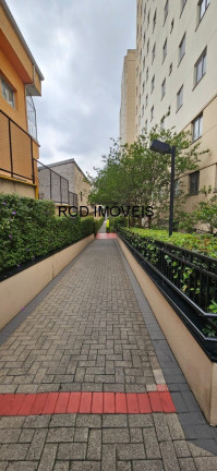 Imagem Apartamento com 2 Quartos à Venda, 47 m² em Rio Pequeno - São Paulo
